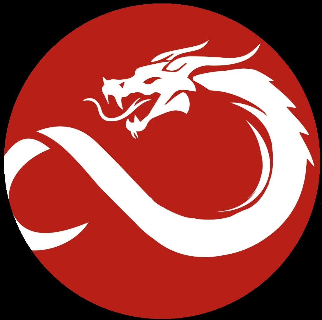 龍 Klub Kendo Dragons Wrocław